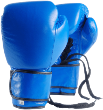 blue-gloves-min1 blue-gloves-min1