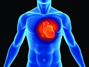 heart-3 heart-3