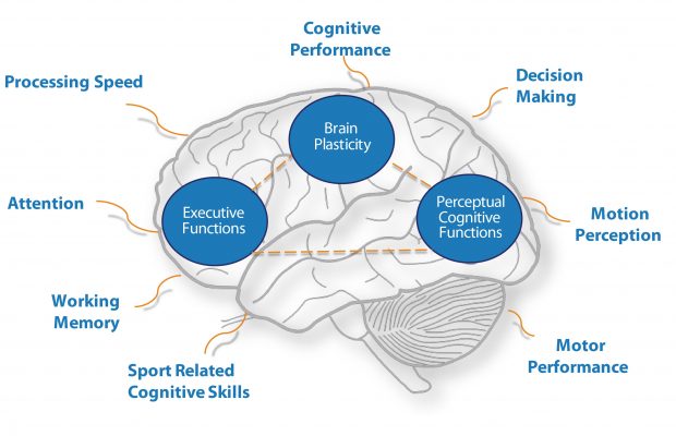 neurotracker-brain-diagram-1-01 neurotracker-brain-diagram-1-01