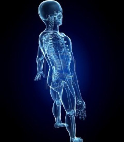 skeleton-2-min