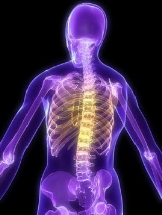 skeleton-3 skeleton-3